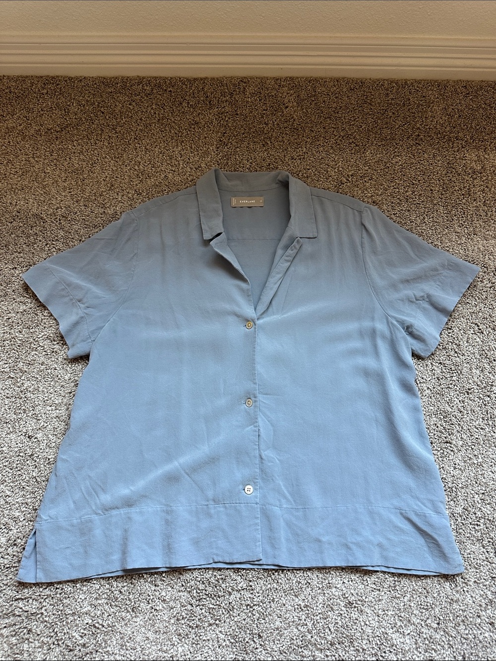 Everlane 100% silk button up top